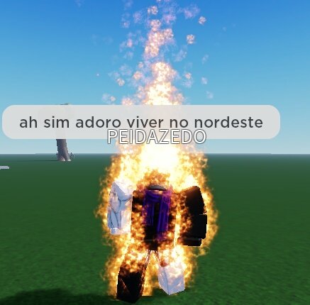 o_DEGGER's tweet image. bom dia roblox no nordeste #RobloxBirthday  #ROBLOX #robloxoc