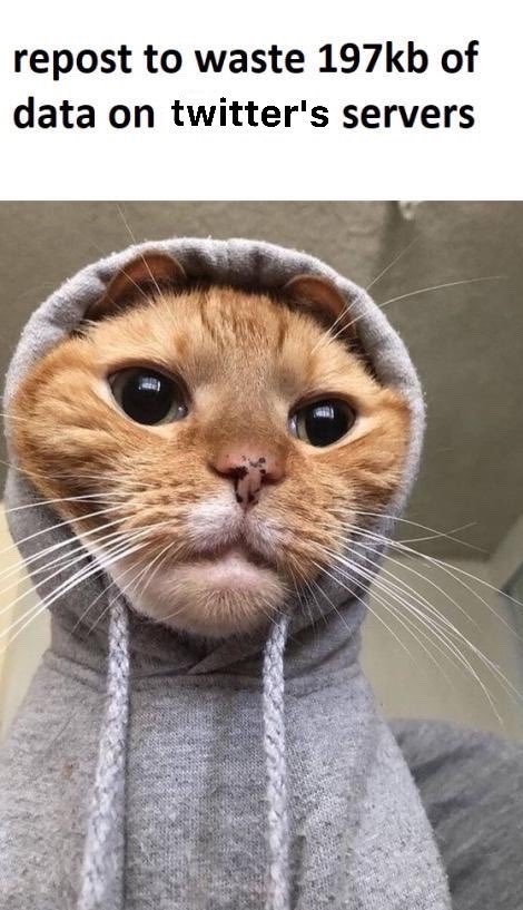 NotNotLyons's tweet image. 