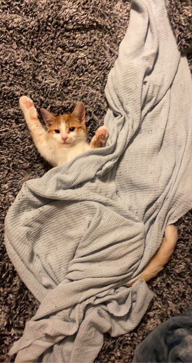 PaigeDuBois10's tweet photo. Raise your hand if you’re ready for the weekend…. https://t.co/d5B1pSChbo
