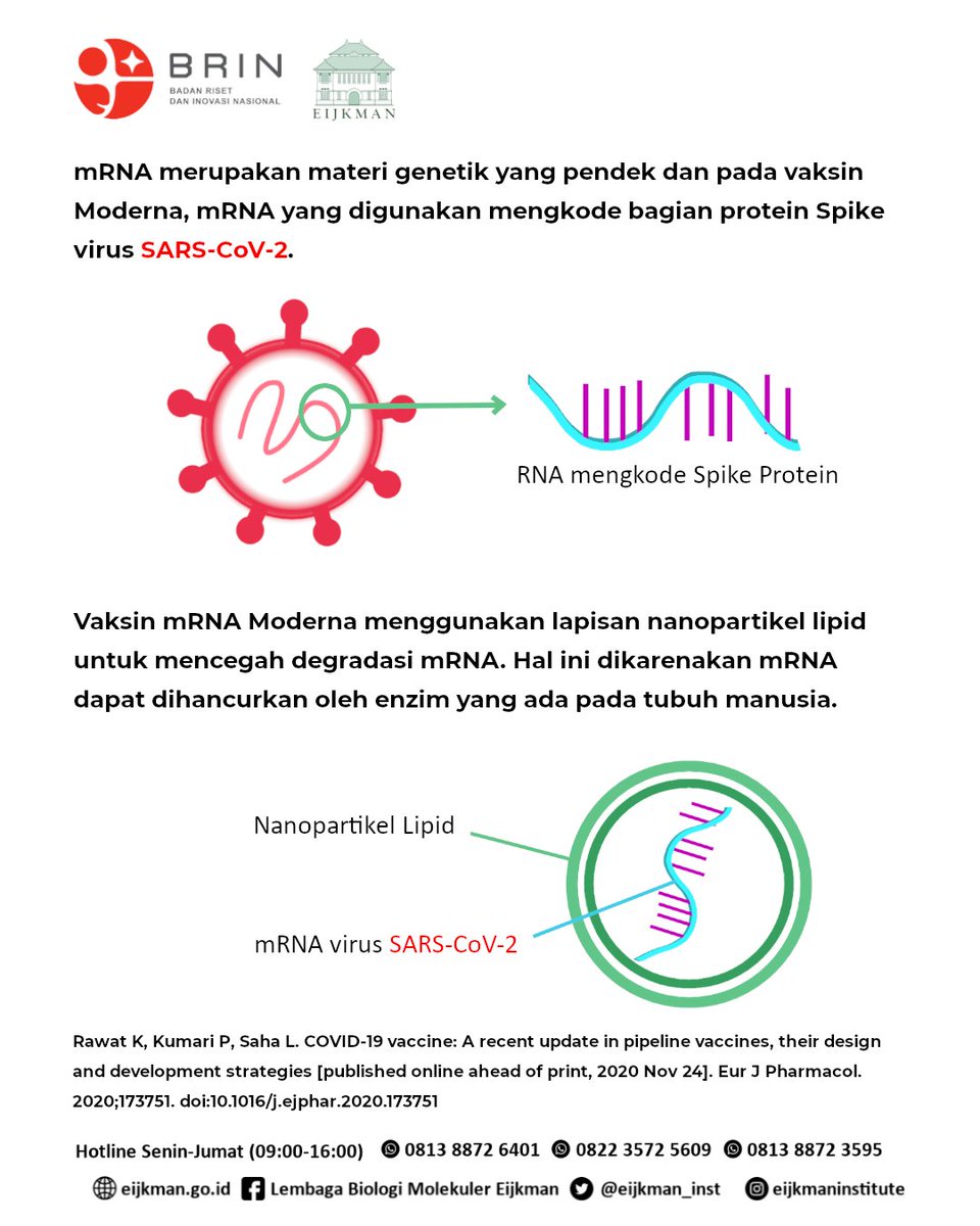 PRBM Eijkman tweet media