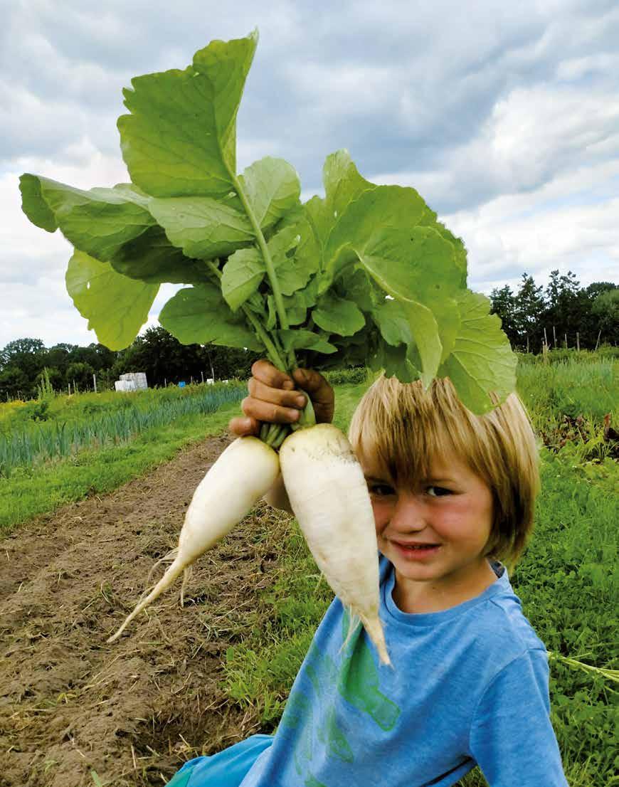 "VOM heeft mij geholpen de uitdaging scherp te krijgen, tools gegeven om het idee vorm te geven én het netwerk aangereikt om dit idee daadwerkelijk te realiseren." Lees het verhaal van programmadirecteur European Land Commons in Oogst magazine op pag. 17: bit.ly/3kkx451