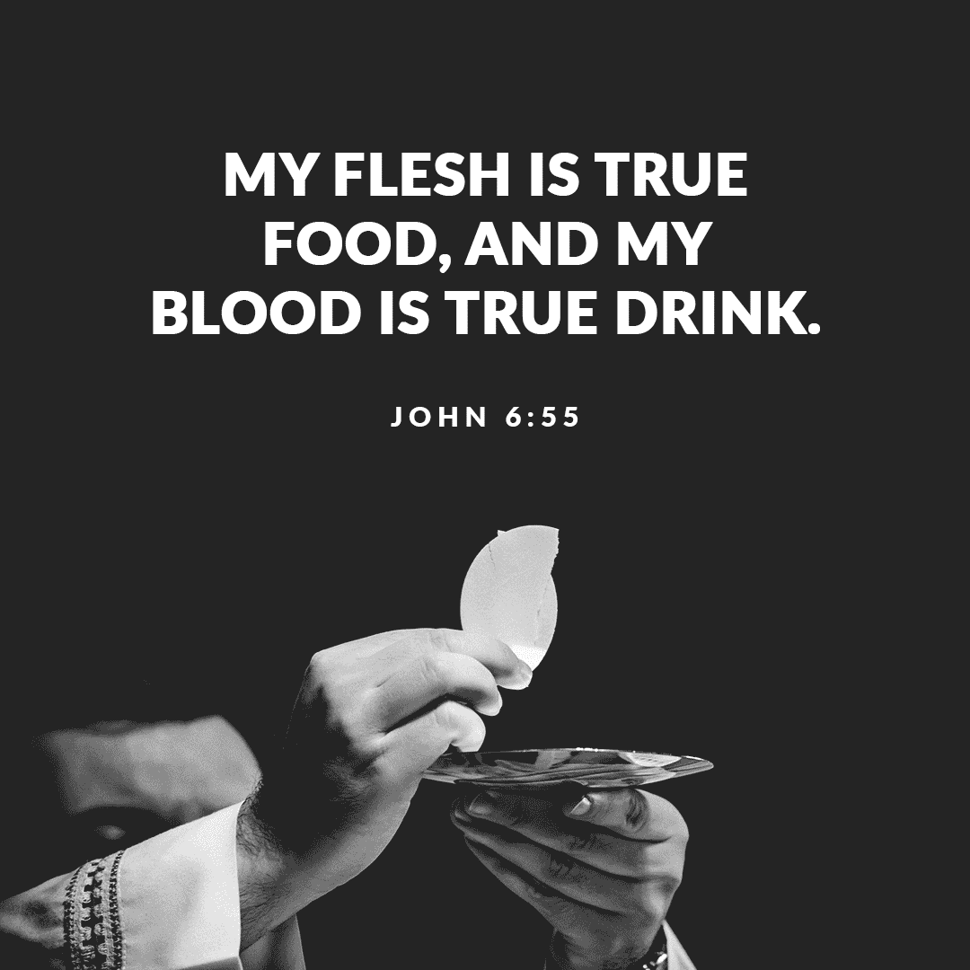 HBGDiocese's tweet photo. My Flesh is true food, and my Blood is true drink. (John 6:55)

#DailyFaith #DailyCatholic #Catholic #Psalm #Mercy #Lord #Hope #Scripture #DailyScripture https://t.co/JxFTgI9MdX