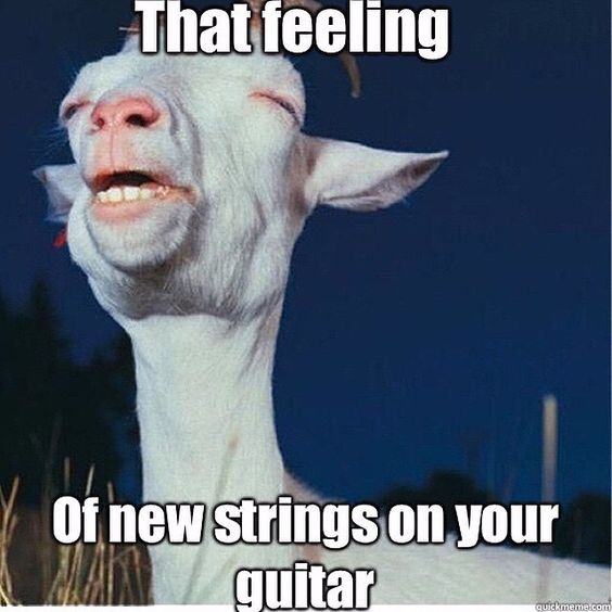 jamstackamp's tweet image. That #newstring feeling 😁 #guitarstrings #newguitarstrings #guitarists #jamstack #jamstackamp