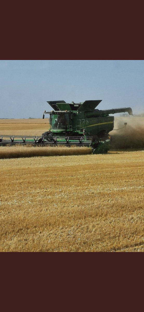 The Louise Grain Growing project is having a harvest day on Sunday afternoon at 2. The field is 6 miles south of Crystal City and a half mile west. Watch for signs. Come for a combine ride, coffee and donuts. <a href="/Foodgrains/">Canadian Foodgrains Bank</a> #endhunger