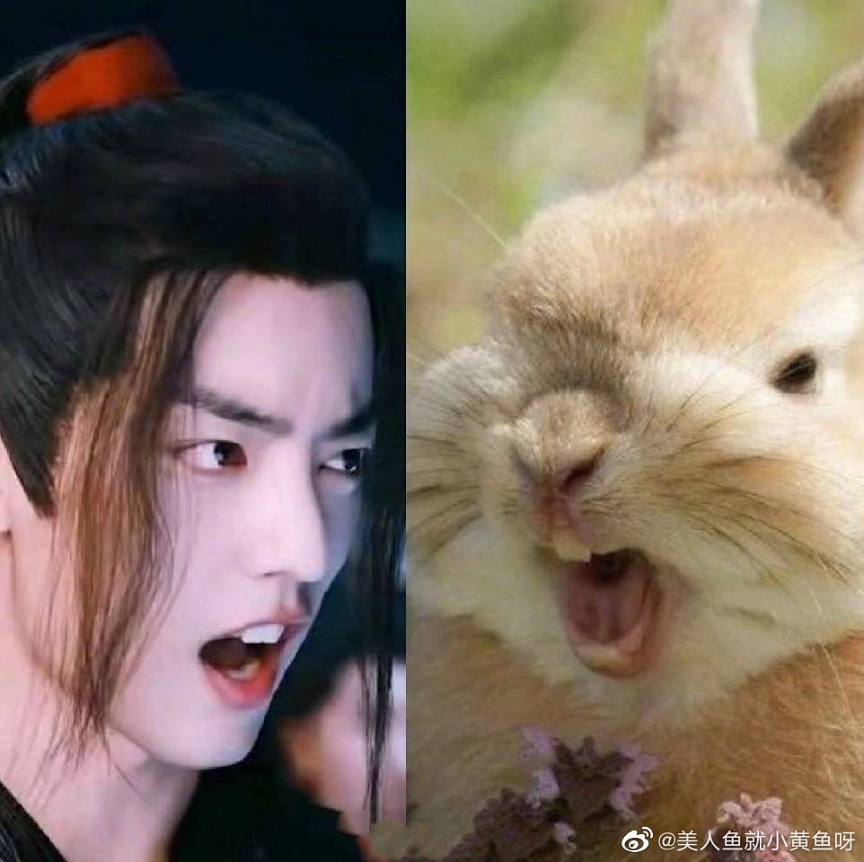 myxielian's tweet photo. กาต่ายไม่เหมียนเซวจั้นตงไหนแกเอาปากกามาวงได้เลย https://t.co/RF4wFqvxwB