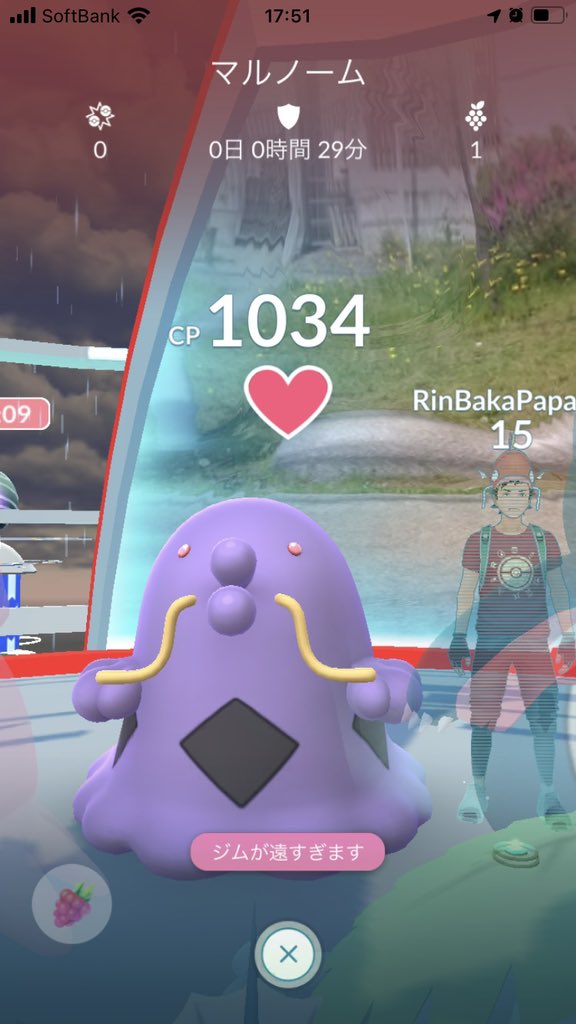 Rinka Ayaka パパ Rinka Ayaka Twitter