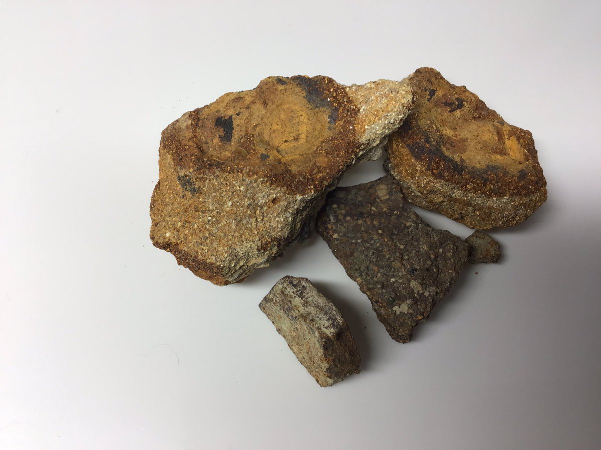isizuki's tweet photo. 愛知県産　褐鉄鉱(針鉄鉱)
非常に小さいですが、二酸化マンガン鉱も少し含む。
一部に丸い球体のような二酸化マンガン鉱も含んでいる https://t.co/w7lpWkY4qG