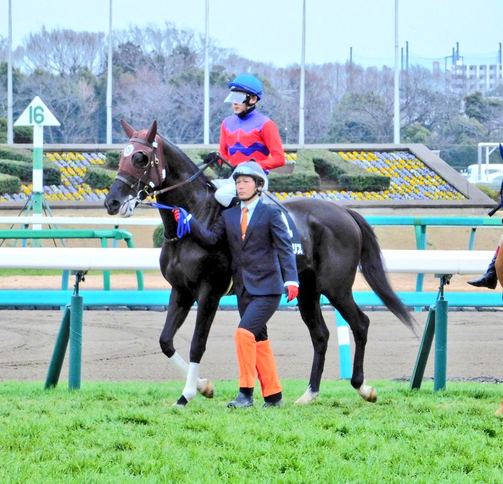 リヴェールブリス号引退なのか
調教再開したと聞いて喜んでたのに…
現役お疲れ様でした。 