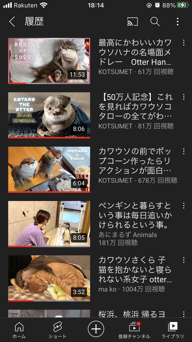 トコロテンフラペチーノ アキネコ على تويتر ちゅまとyoutubeアカウント共有してりゅんだけど今履歴見たらこれで埋まっててかゎぃかったのら トコロテンフラペチーノ アキネコ على تويتر ちゅまとyoutubeアカウント共有してりゅんだけど今履歴見たらこれで埋まっててかゎぃかったのら