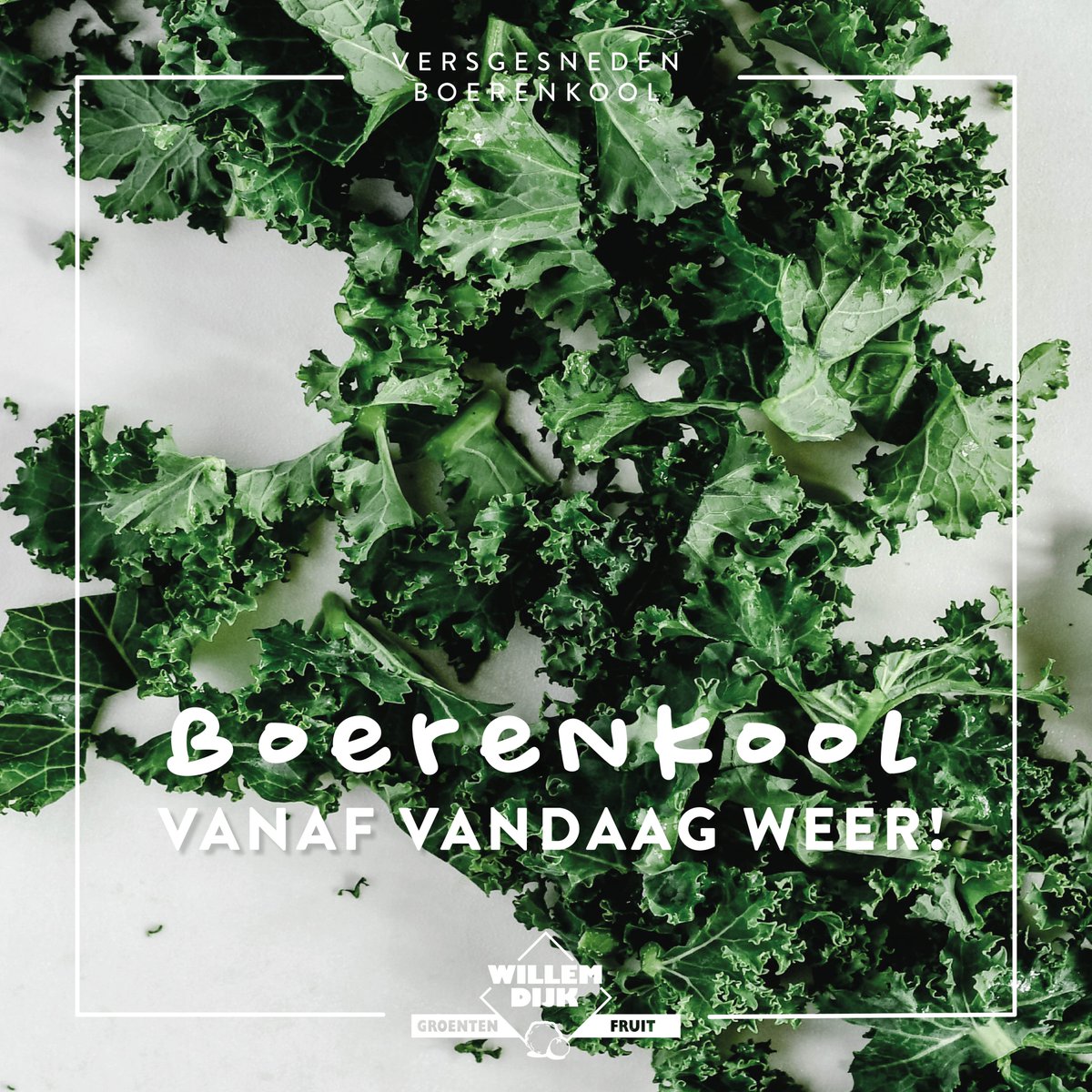 Vanaf vandaag weer volop vers gesneden boerenkool! 🌿💚 
Ook zo'n zin in deze groente boordevol vitamines en mineralen? Wij wel!
Vraag je Willem Dijk verkoper 💪