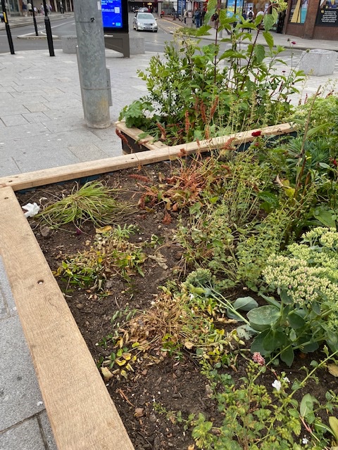 Peter Hart tweet media