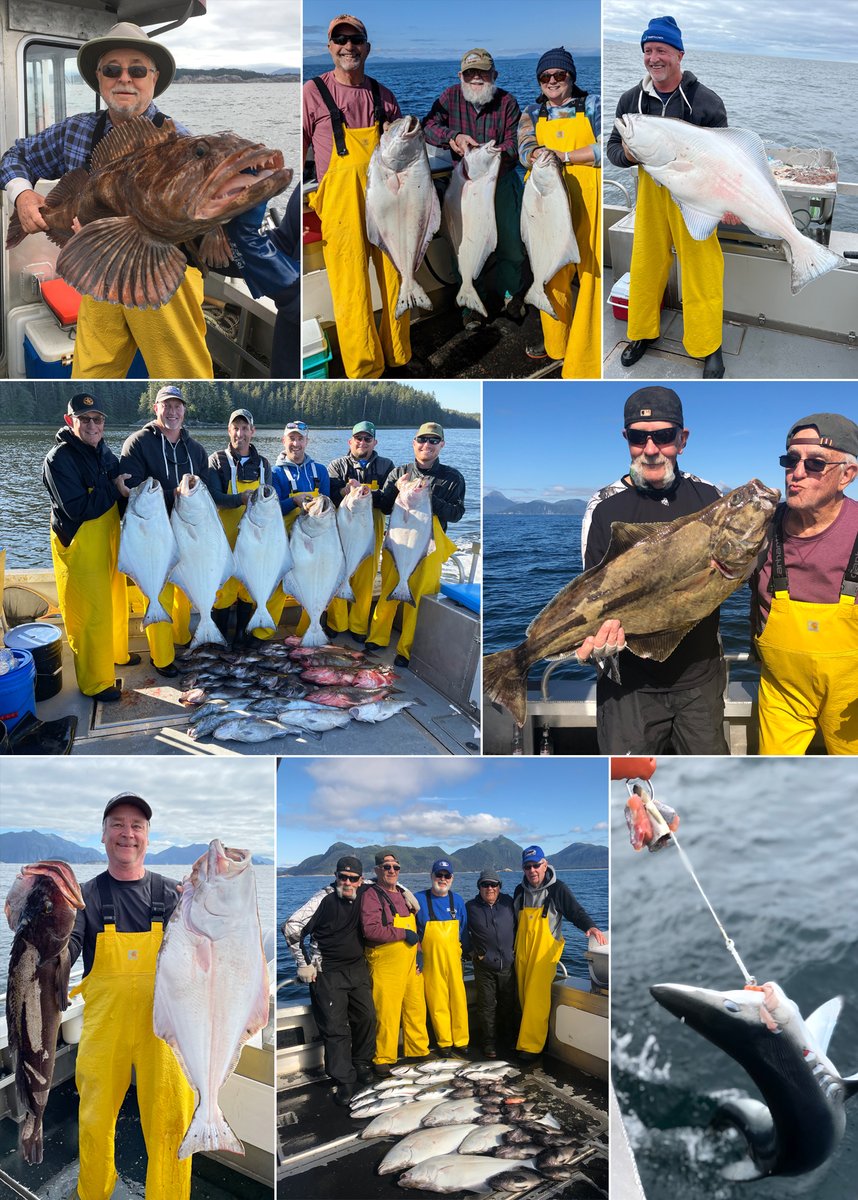 8-31-21: Everything from sharks to a bottomfish bonanza! #sitka #salmon #fish #fishing #sitkafishing #alaskafishing #fishinginsitka #fishinginalaska #familyfishing #saltwaterfishing #halibut #lingcod #rockfish #cohos #silvers #silversalmon #wildstrawberrylodge #visitsitka #ak