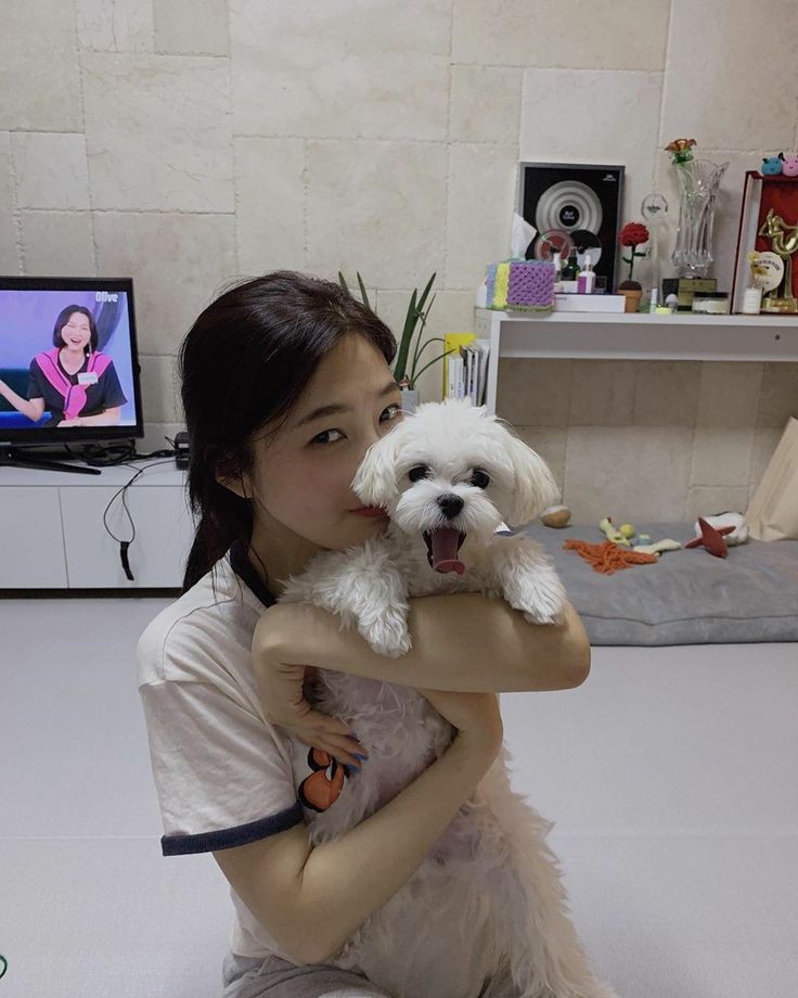 closed. (@nagshanghaii) on Twitter photo 