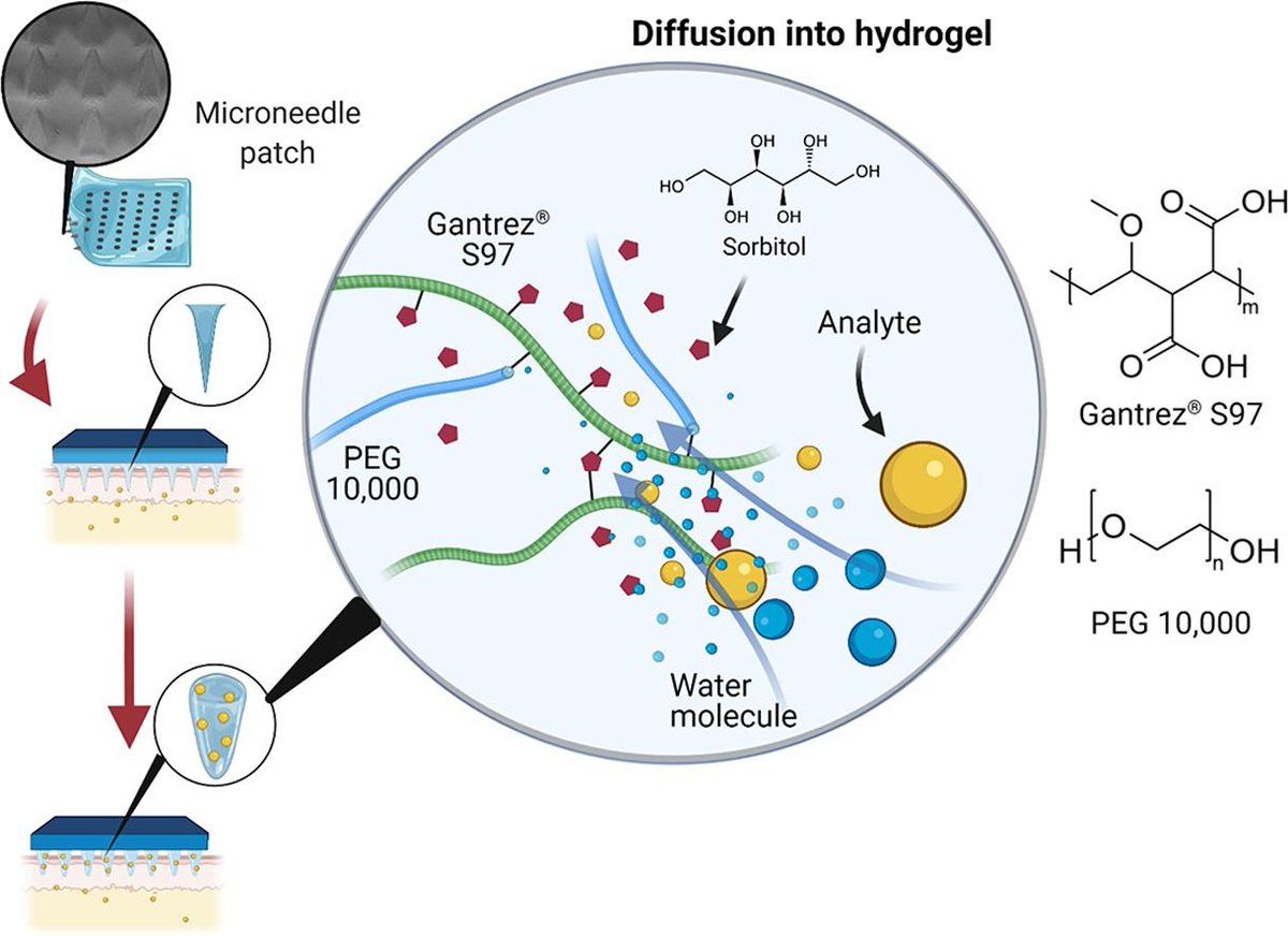 Check out our latest paper led by <a href="/AkmallHidayat/">Akmal Hidayat Sabri</a>
and <a href="/qonyanjani/">Qonita Kurnia Anjani</a>: authors.elsevier.com/a/1dgOn1M49kTS…
Shows how modulation of hydrogel-forming microneedle composition can augment performance! 
<a href="/CRS_FG_SkinMuco/">CRS Focus Group - Skin and Mucosal Delivery</a> <a href="/CRS_FG_NANO/">CRS NANO</a> <a href="/APS_PharmSci/">Academy of Pharmaceutical Sciences</a> 
<a href="/pharmscitech/">AAPS PharmSciTech</a>