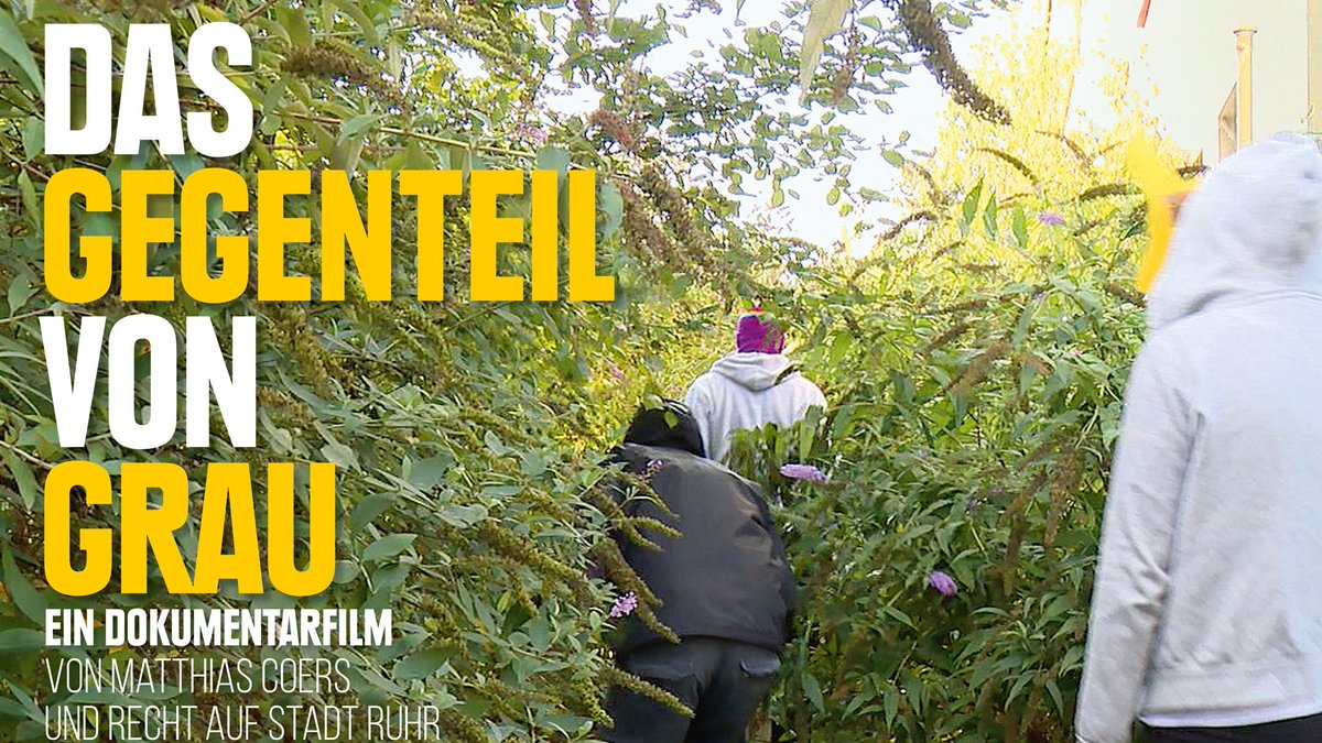 Morgen geht's weiter mit der #UtopieLeben-Reihe!

19 Uhr zeigen wir online den tollen Kinofilm "Das Gegenteil von Grau" über unkommerzielle Projekte im Ruhrgebiet - Vorbilder fürs #Rheinland?

Infos+Einwahl: rheinlanddergemeinschaft.noblogs.org/veranstaltunge…
#AlleDoerferBleiben #SystemChange #Kohleausstieg