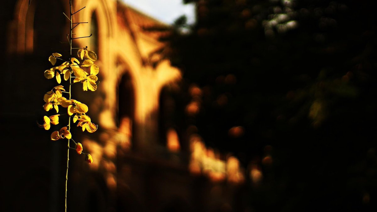 کتنی دیر تک 
املتاس کے پیڑ کے نیچے
بیٹھ کے ہم نے باتیں کی،
کچھ یاد نہیں!
بس اتنا اندازہ ہے
چاند ہماری پُشت سے ہو کر
آنکھوں تک آ پہنچا 

(پروین شاکر)