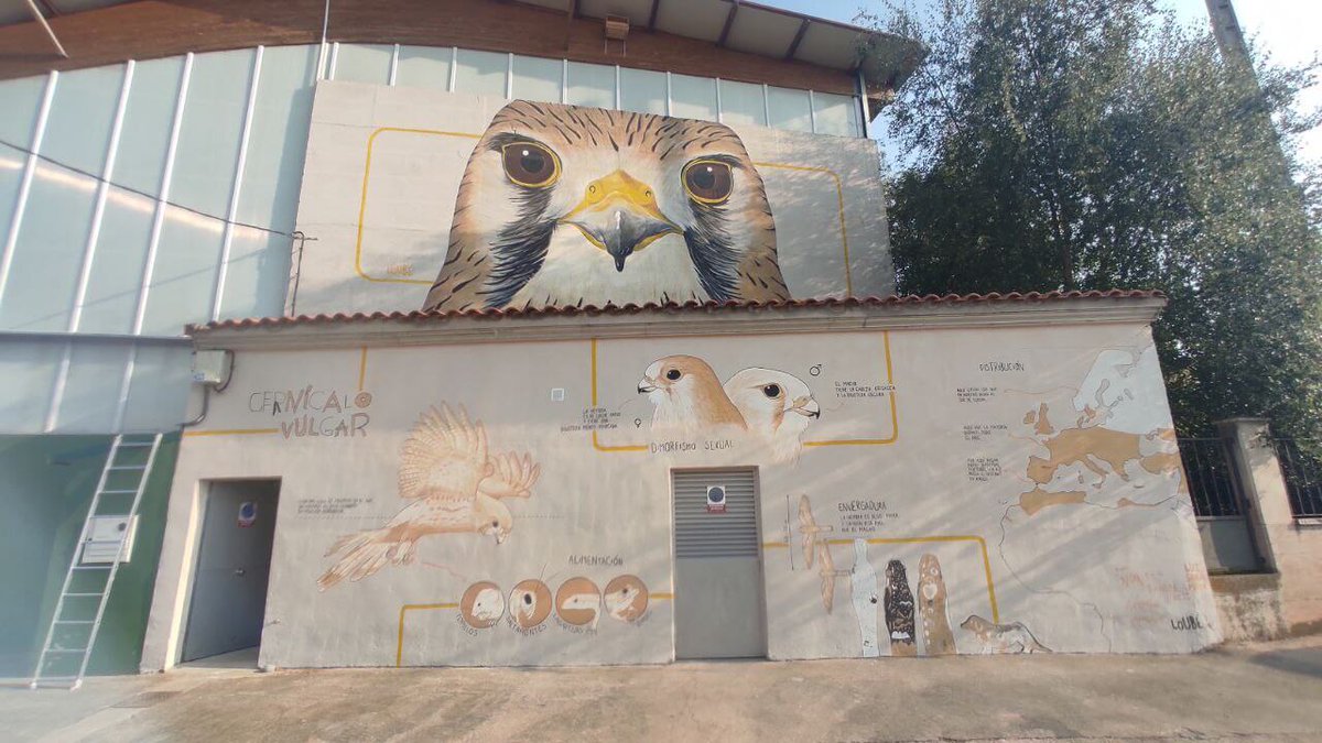 Loubé 🌾 tweet media