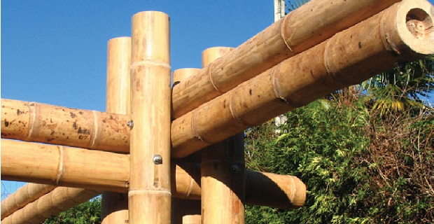 ArchitetturaEco's tweet photo. Il #bambu è il materiale più resistente in #natura...non a caso è chiamato "acciaio verde". Cosa lo rende così resistente? Scoprilo nell'articolo del nostro Federico Antonelli. https://t.co/oxpp17soIl #architettura #sostenibilita https://t.co/so0pX1CsgF