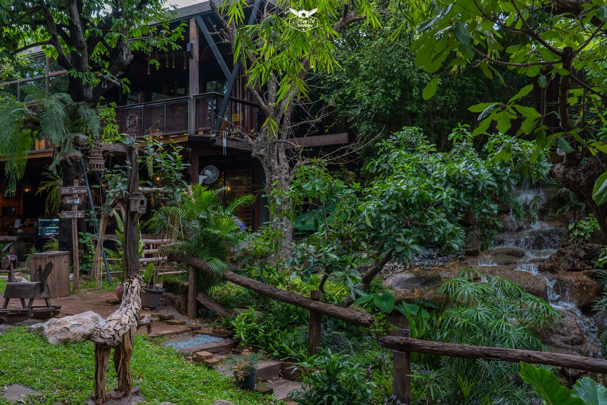 reviewpapai's tweet photo. ☕️คาเฟ่เขาใหญ่ชิลล์ได้แล้วนะ 🌲 สาย Cafe' Hopping พร้อมกันหรือยัง!!  
The Raft Cafe’ Khaoyai คาเฟ่สุดชิลล์วิวน้ำตกและอยู่ติดริมน้ำ💦
ไม่วุ่นวาย เงียบสงบ มีโซนโอเพ่นแอร์ อากาศถ่ายเท มุมถ่ายรูปสวย 
#TheRaftCafeKhaoyai
#คาเฟ่เขาใหญ่ #คาเฟ่ริมน้ำ
#ReviewPapai #รีวิวพาไป #เขาใหญ่ https://t.co/vkuAro8q0P