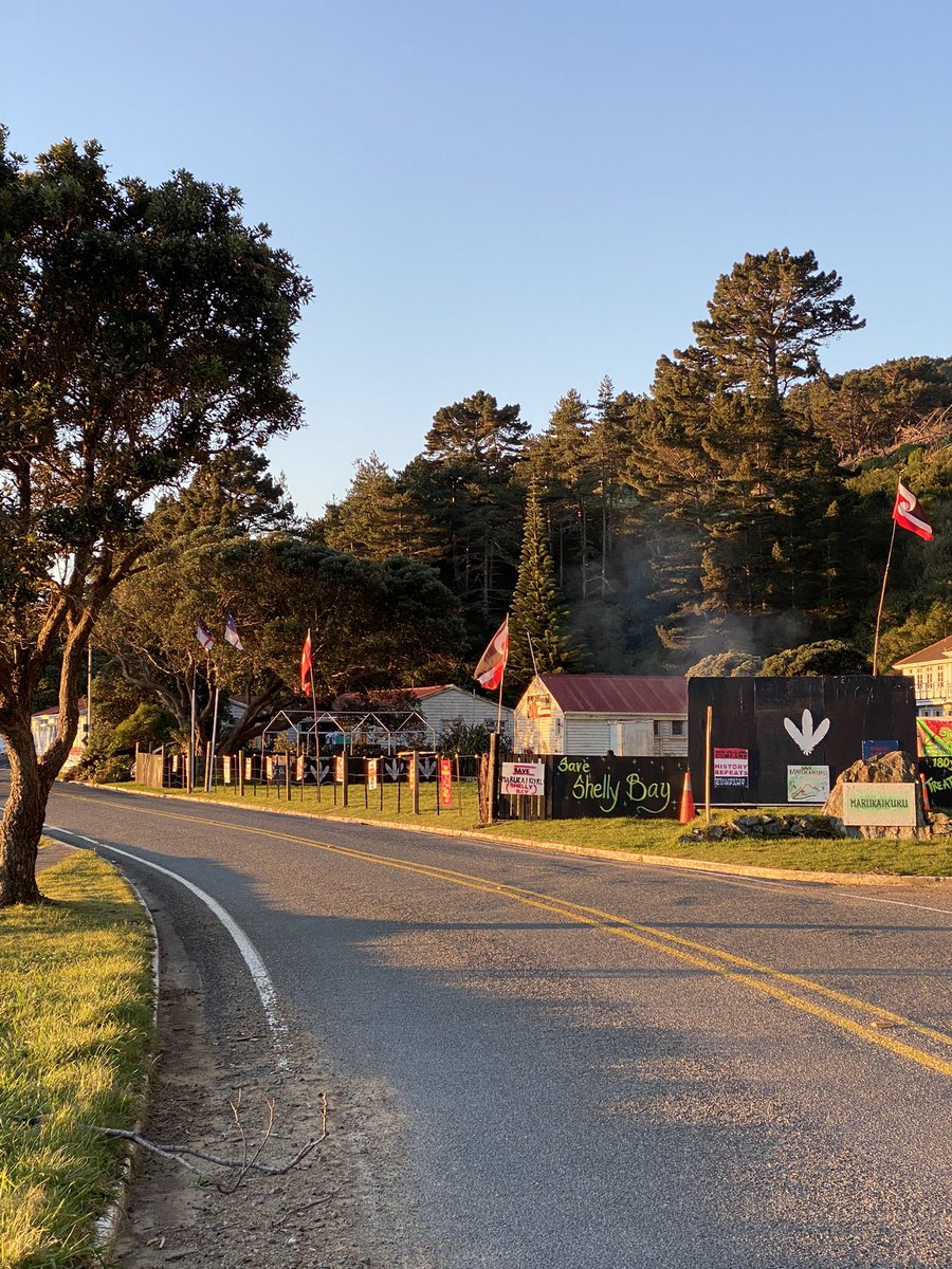 zeniakumar's tweet image. Not even 24 hours into level 3 in Wellington and police in over 6 cars tried to remove around 5 tangata whenua who were peacefully protesting in Shelly Bay and have been for over a year. Despicable.