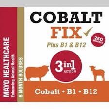 has cut costs and handling significantly.’

Adrian Millar - Blinkbonney Farm, Orkney Islands.

For further information about our product range, please contact Sandy Wilson on 07340338982 or sandy@mayohealthcare.co.uk