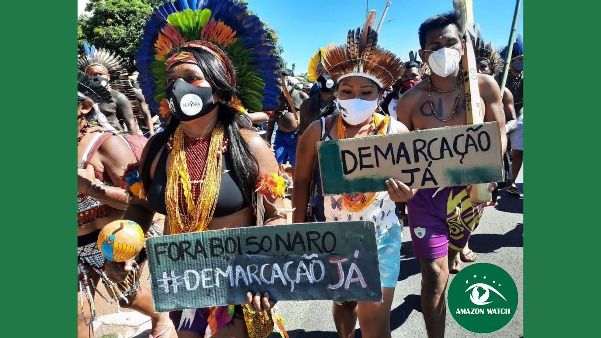 TypitoHQ's tweet photo. Up, close &amp; personal with Typito creators 🧐

@amazonwatch has been at the forefront of supporting Indigenous peoples to protect the Amazon basin and our climate. To propel these missions, Amazon Watch relies on the power of storytelling.

1/8 https://t.co/vifIqUulYh