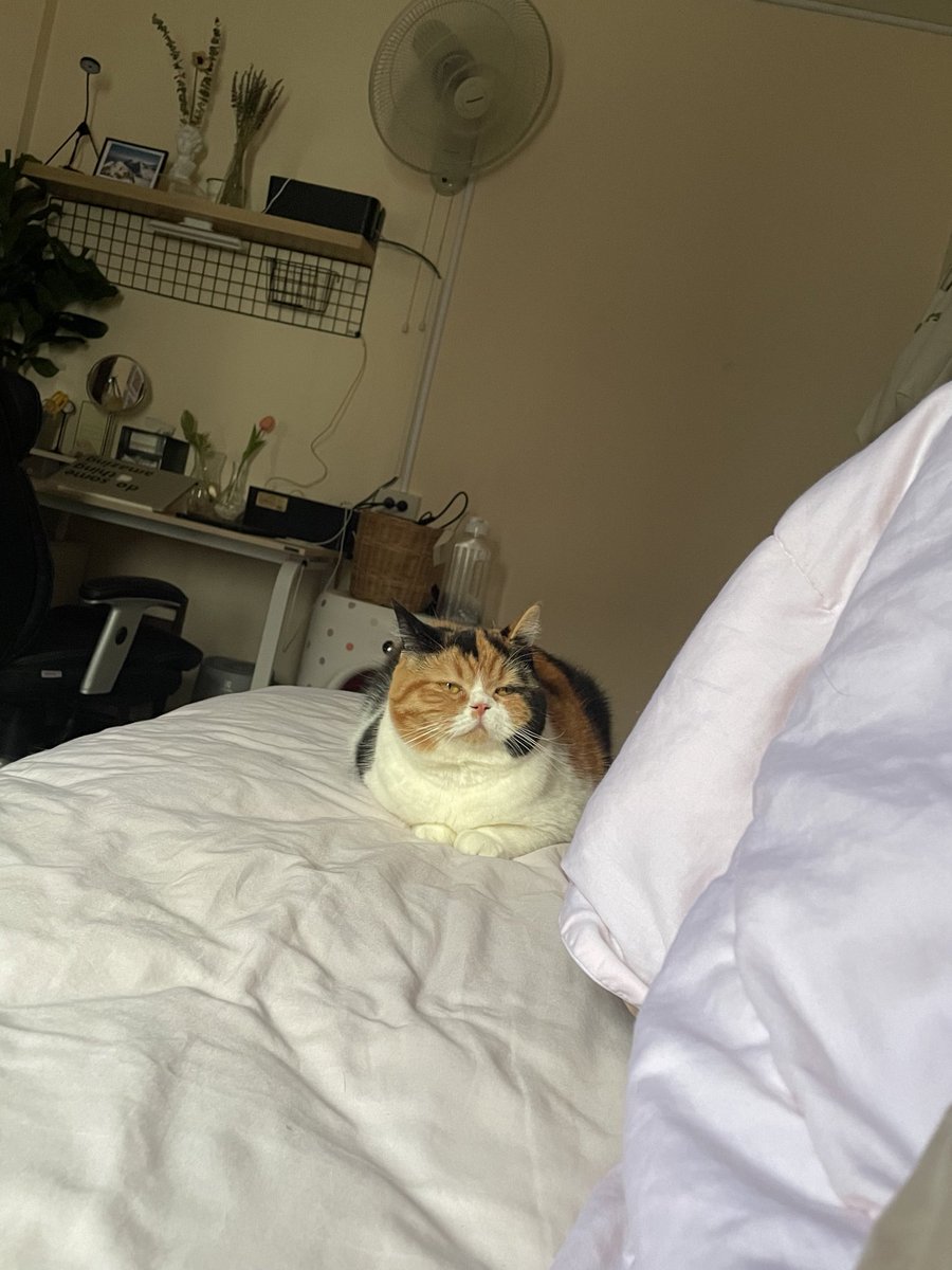 หนูอุตส่าห์ตื่นเช้าๆจะได้กินข้าวไวๆ ไม่น่ามีแม่แม่ขี้เกียจแบบนี้