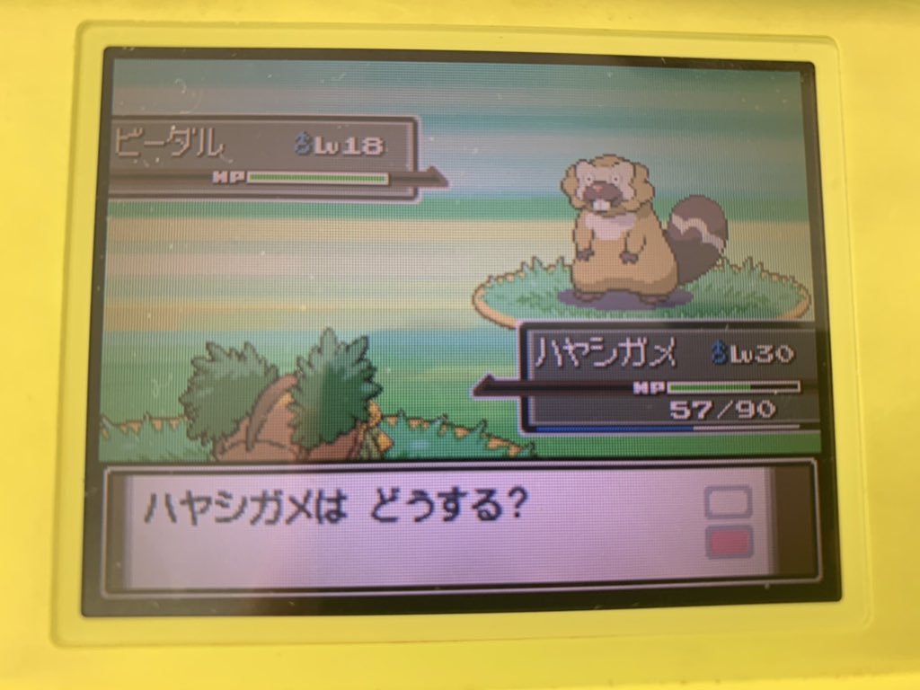 かい 84回目でビーダル色違い来た W ﾌｵｵｵｵｵｵｵｵｳｱｱｱｱｱｱｱｱ