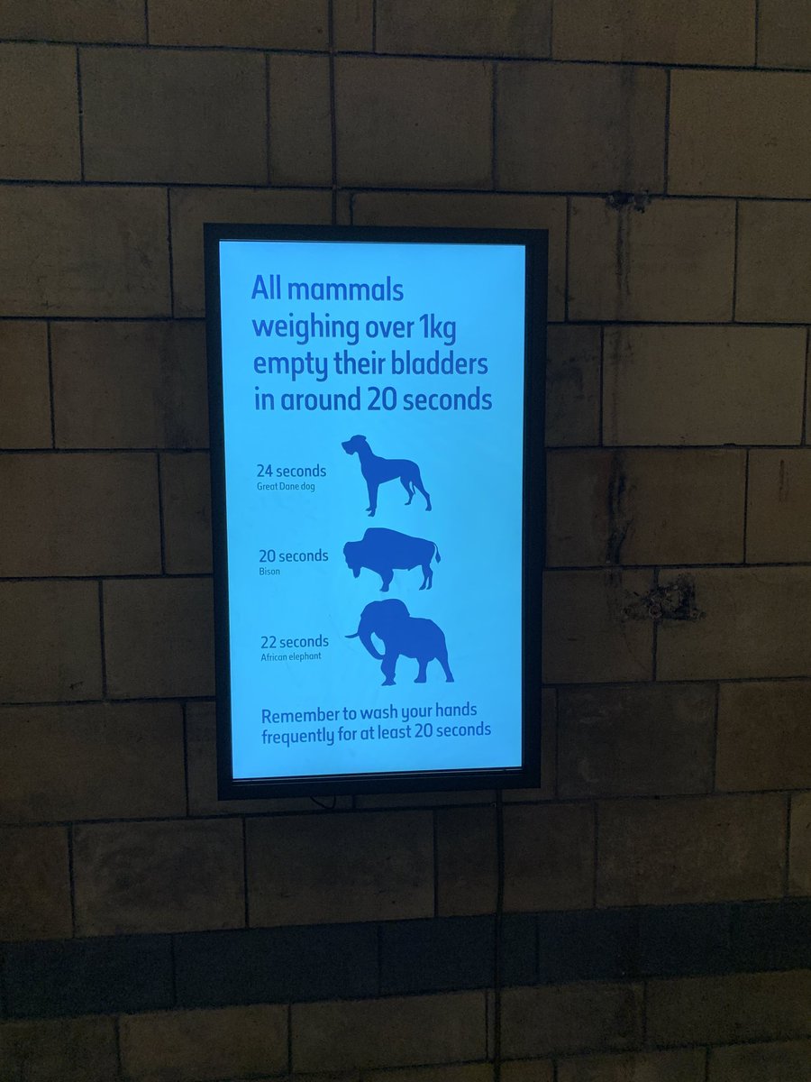 ⁦<a href="/andy_murray/">Andy Murray</a>⁩ - FYI. Well played and great to see you back competing at that level. Looking forward to seeing more of you next year. #ATP #naturalhistorymuseum