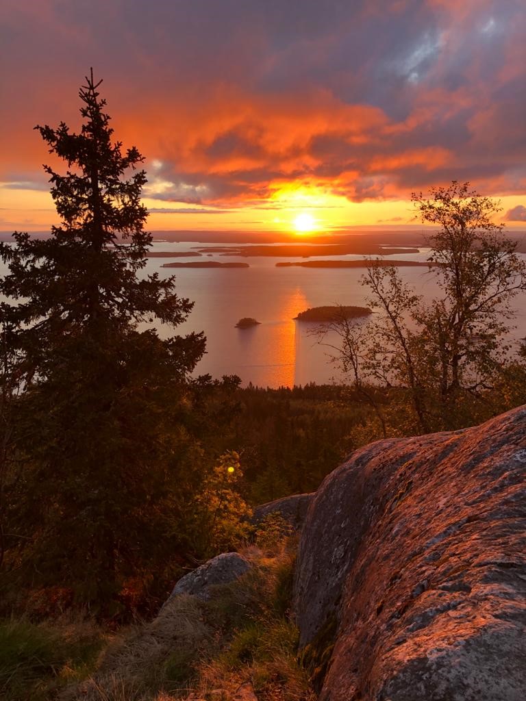 LauraHirsto's tweet photo. Mahtava ja tuloksekas kirjoitusseminaari Kolilla! @UefDigs @UEFTeamAmeba @UEF_OAHOT @tyopeda #flippaus #opetuksenkehittäminen #tutkijattyossään #auringonnousunyliopisto #etäsuomenyliopisto #yopeda @UniEastFinland @Teemujns @ErkkoSointu @KontkanenSini @halperin_susu @jKpaa https://t.co/AceVlCbeIH