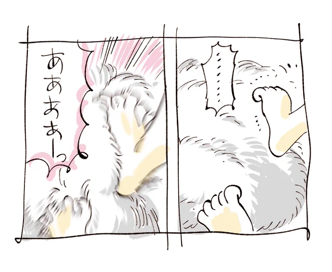 涼しいってほんとすばらしいよ 