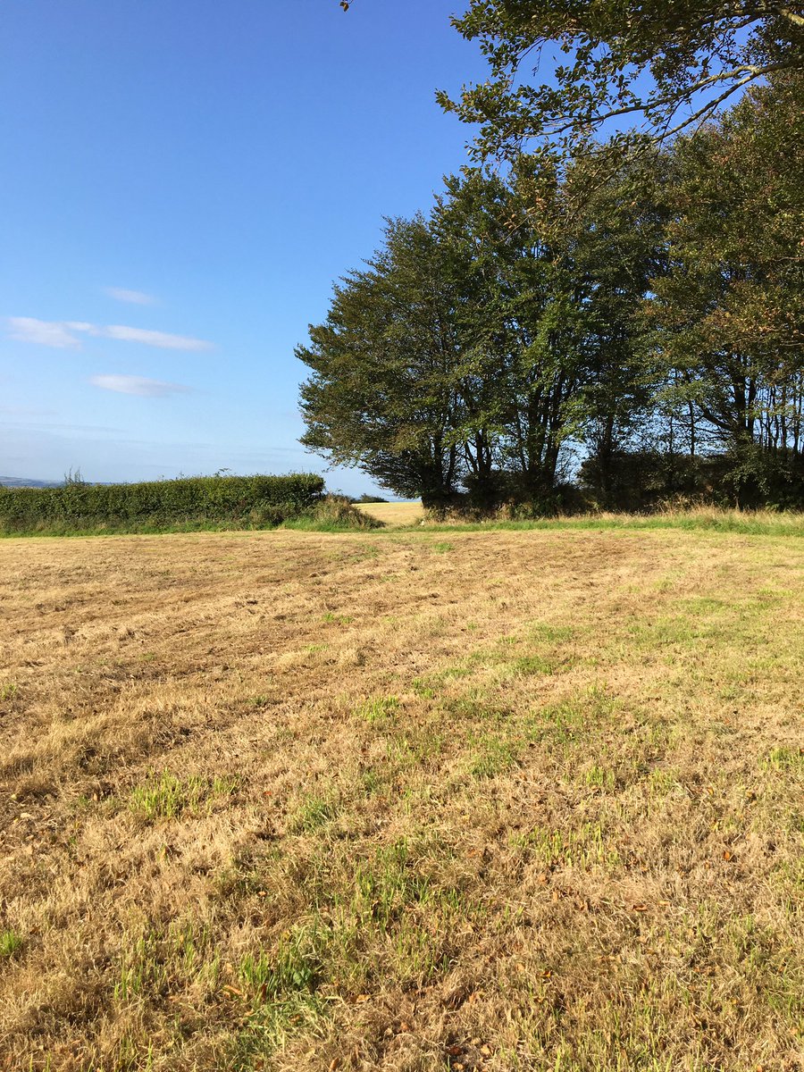 tim parham tweet media