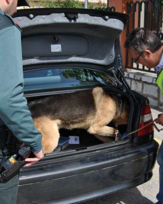 Guardia Civil tweet media