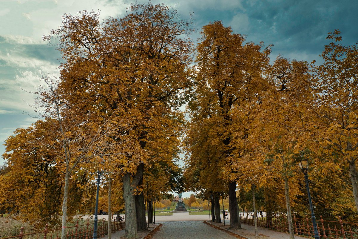 travel_w_lenses's tweet photo. @muhammadljunaid A little bit of the Fall here in Germany! https://t.co/HaGuBKJBGy