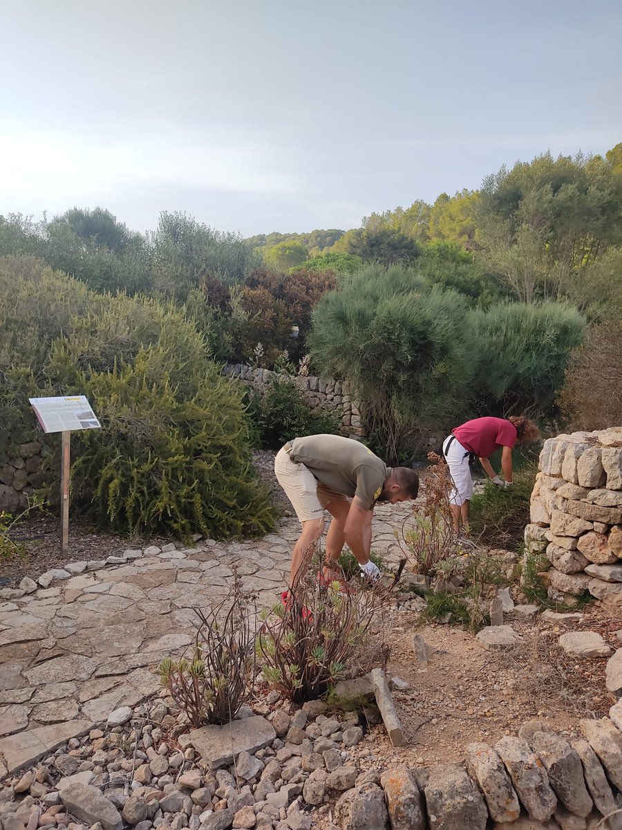 COMGEBAL_ET's tweet photo. Cuando se acerca la recta final del verano, se van terminando las tareas programadas del #PlanVigilanteBalear, en este caso personal del destacamento de #COMGEBAL en el Parque Nacional de Cabrera y @oapngob @MCANA_ET @EjercitoTierra https://t.co/H4MP8W887V