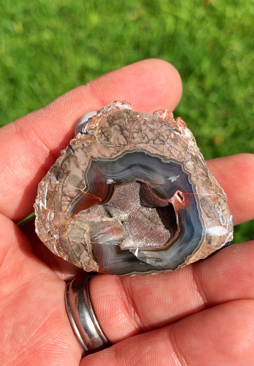 txrockhound's tweet photo. Baker Ranch thunderegg. From Deming, New Mexico. Such a pretty little nodule. https://t.co/qOhCpH9UBi