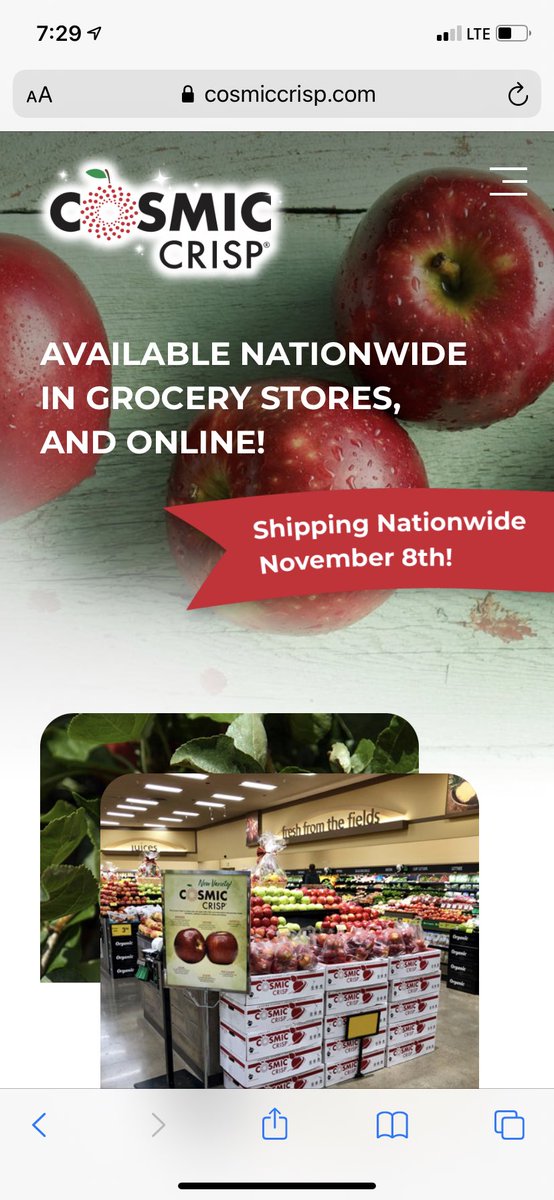 Here you go <a href="/SteveAndKyle/">Steve & Kyle Podcast</a> sorry you have a hard time using internet to find out where to get your apples.