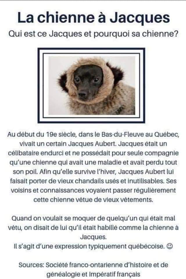 Manne Less La Chienne A Jacques T Co Efim8fysdg Twitter Manne Less La Chienne A Jacques T Co Efim8fysdg Twitter