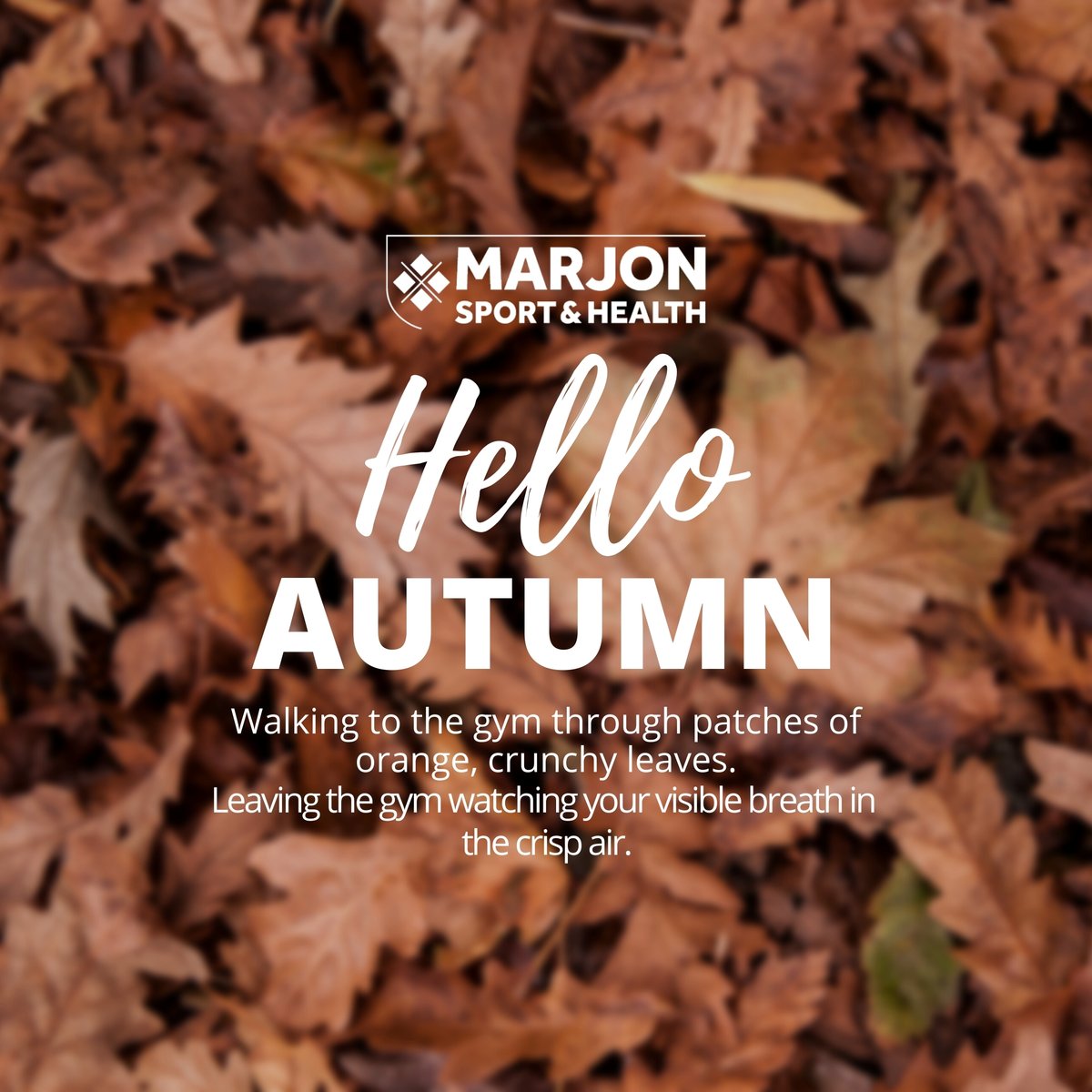 Happy Autumn! Who here is on board with the Autumn vibe? 🍂