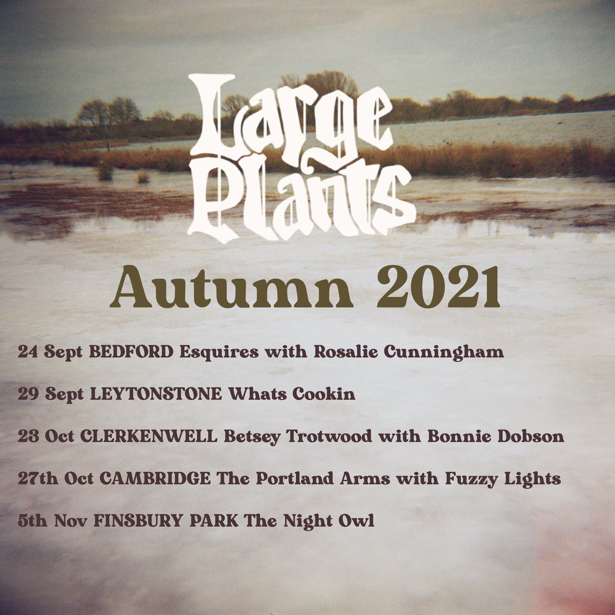 TheThornTheBand's tweet image. ⚡️⚡️LARGE PLANTS LIVE THIS AUTUMN⚡️⚡️