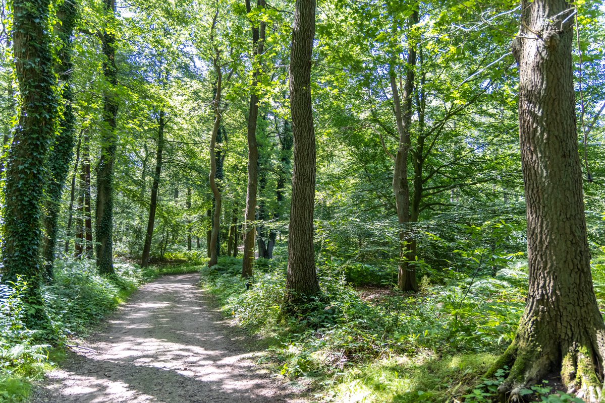 Het #moment is nu echt daar. Dit is de #laatstedag tot 18 december dat wij #bezoekers ontvangen. Kom in het kader van de #OpenMonumentendag nog even genieten van de #natuur en het #erfgoed dat wij als museumpark te bieden hebben. Heb jij het stukje #Limes op ons park al ontdekt?