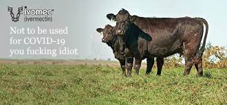 AAMAM180's tweet photo. @WestSydHealth @JackHam38216180 Remember kids...
#ivermectin #ivomec #covid19 #cattle #sheep #truthinadvertising #satire #comedy https://t.co/UWJgcpOClt
