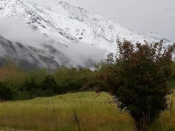 jalal_maqpoon's tweet photo. Yes it's still summer, but Chupurson Valley Mountains are covered with first snow spell of the year.

#HunzaGilgitBaltistan https://t.co/QFI0Le4nmn