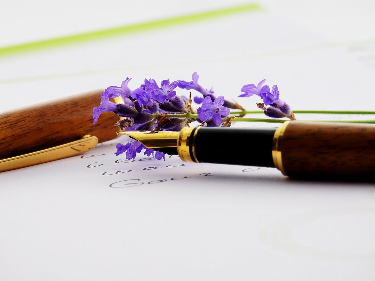 JaireSims's tweet photo. "Writing is not like dancing or modeling; it's not something where-if you missed it by age 19-you're finished. It's never too late. Your writing will only get better as you get older and wiser." - Elizabeth Gilbert

#writing
#amwriting
#amwritingfiction
#writingcommunity https://t.co/pdE9rhY2DF