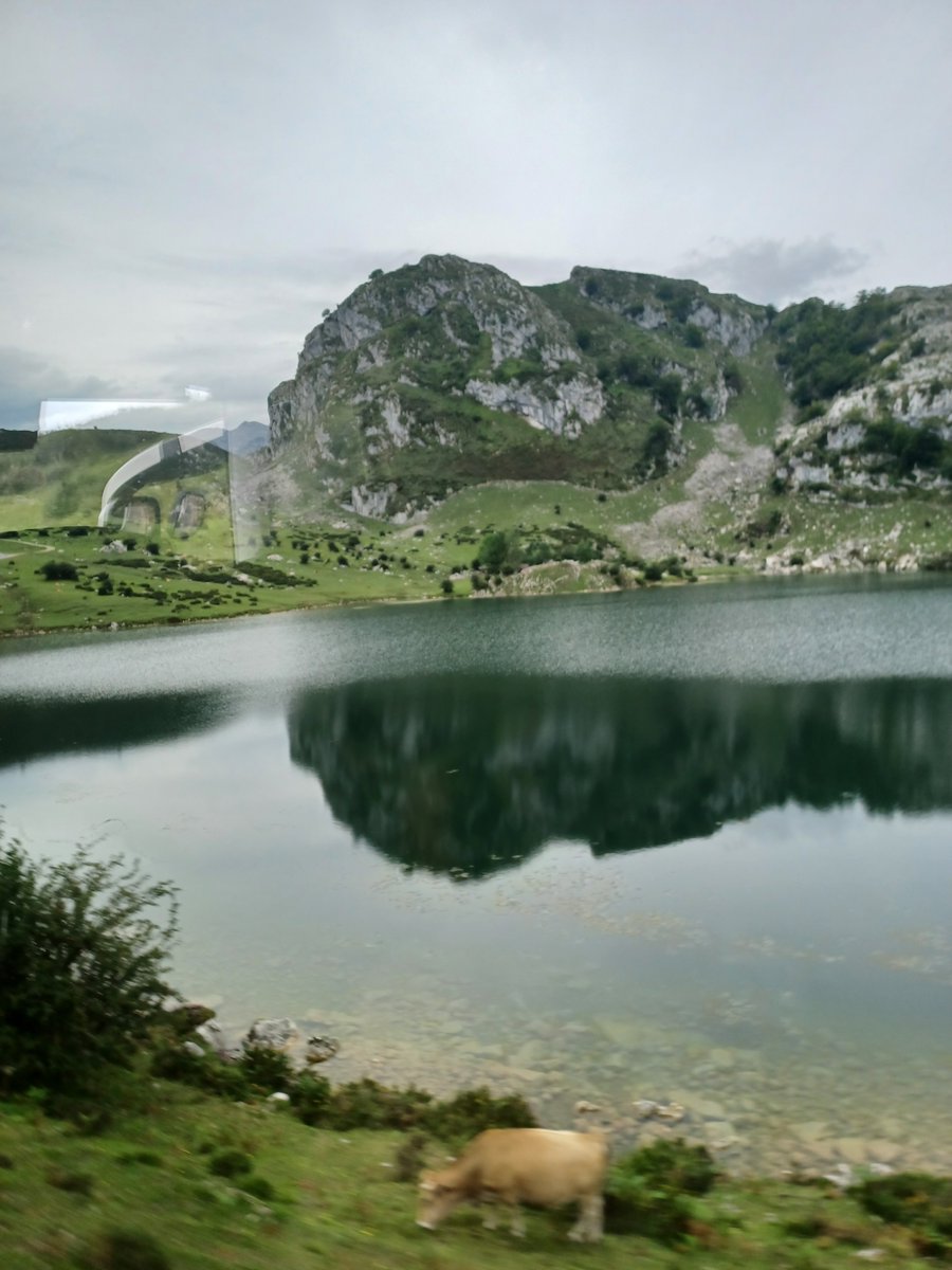 Lagos de Covadonga