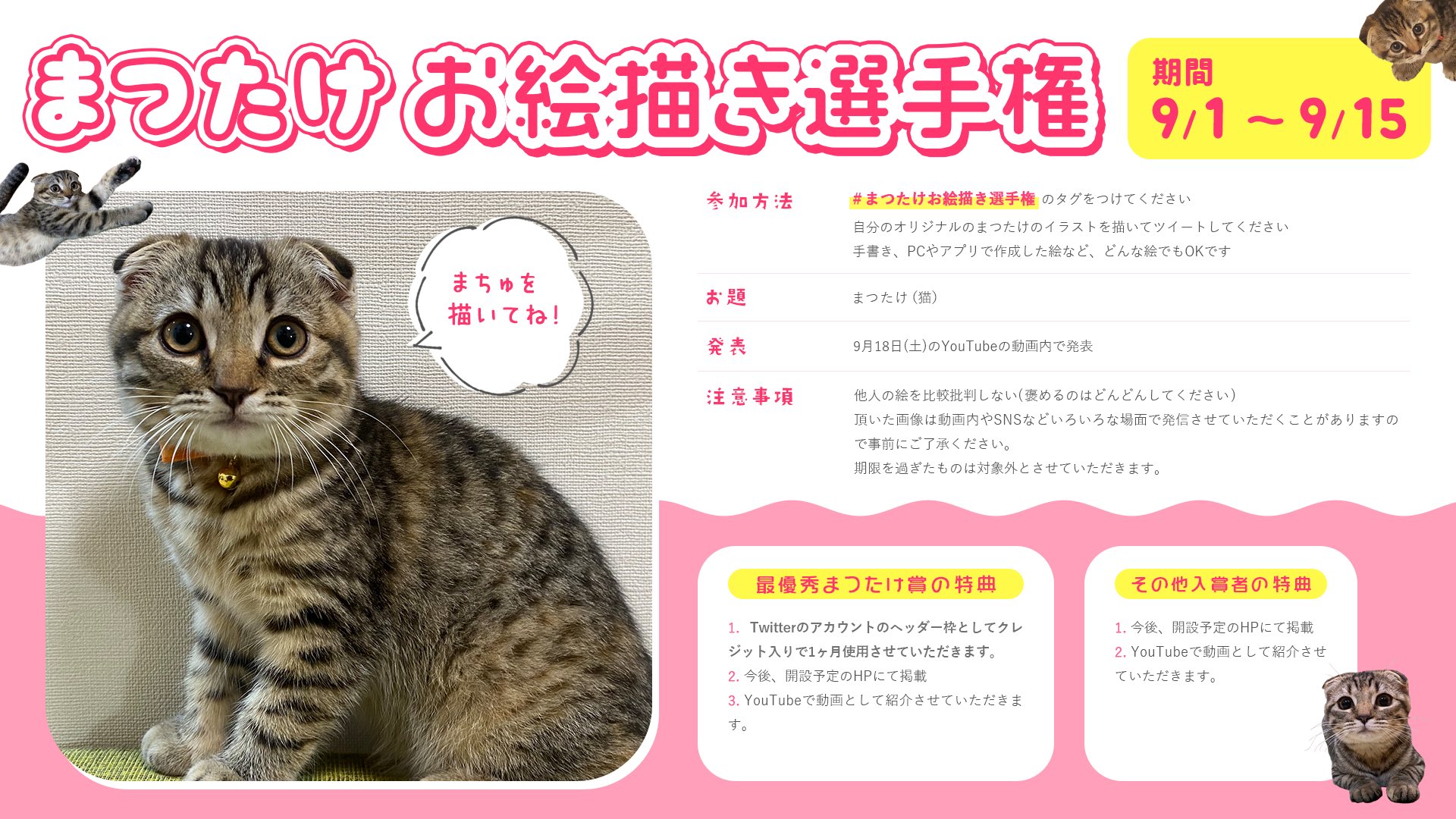 Tweets With Replies By まつたけ Matsutake Cat Twitter