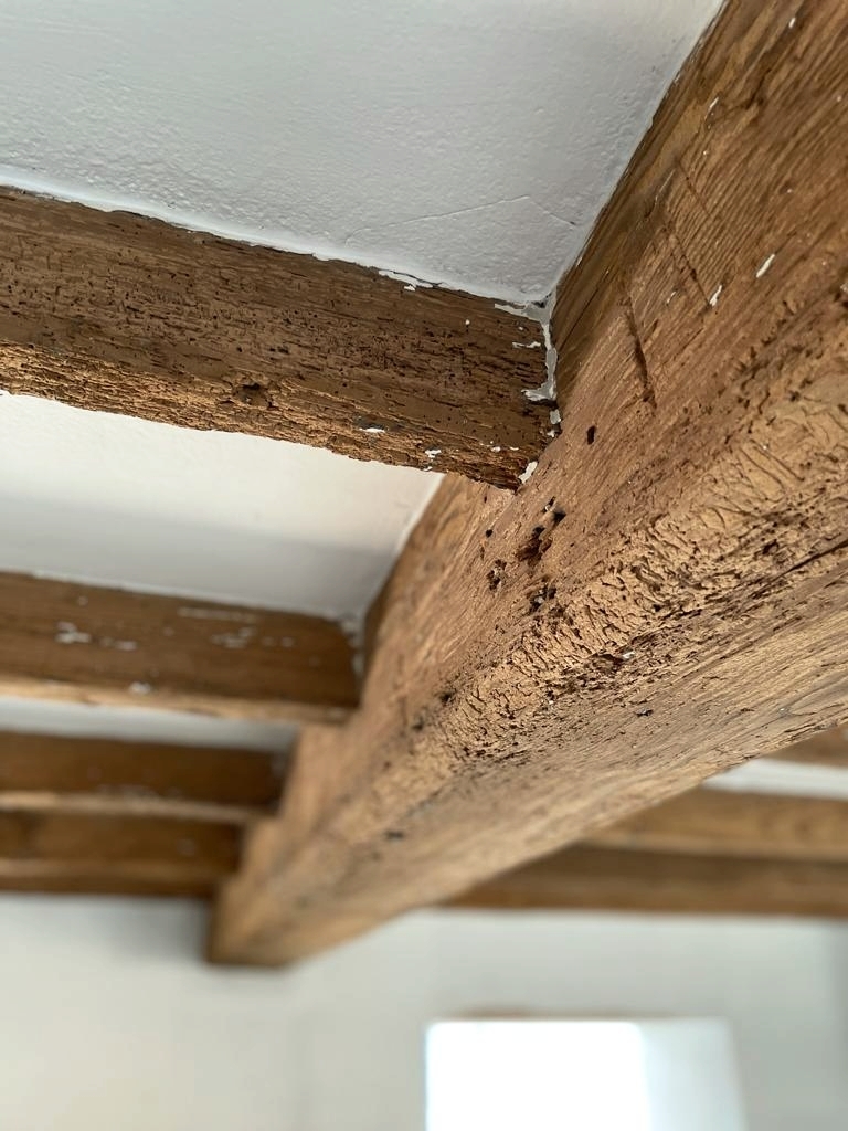 HapaArchitects's tweet photo. Conservation and listed buildings are part of our passion here at HAPA. These beautiful beams have been lovingly restored at a listed building in Firle. 
#timberbeams #oakbeams #firle #sussex #sussexarchitect #listedbuilding #conservation https://t.co/cvVhEhWF5h