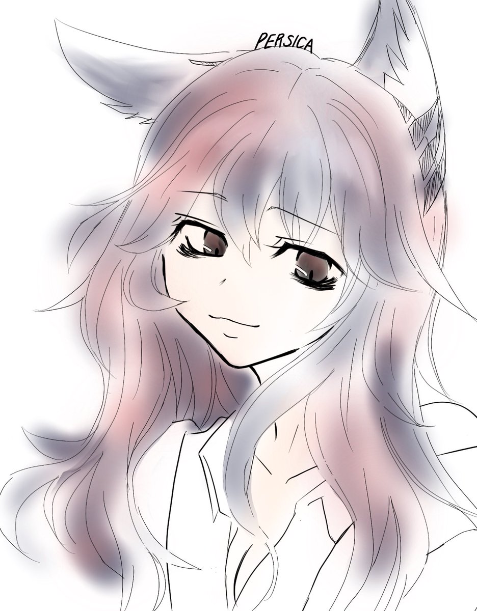 「ペルシカさんを落書き。
 #ドルフロ 」|花田麻実子🇯🇵MAMIKO HANADAウクレレ＆サバゲー大好きVoice actor！のイラスト