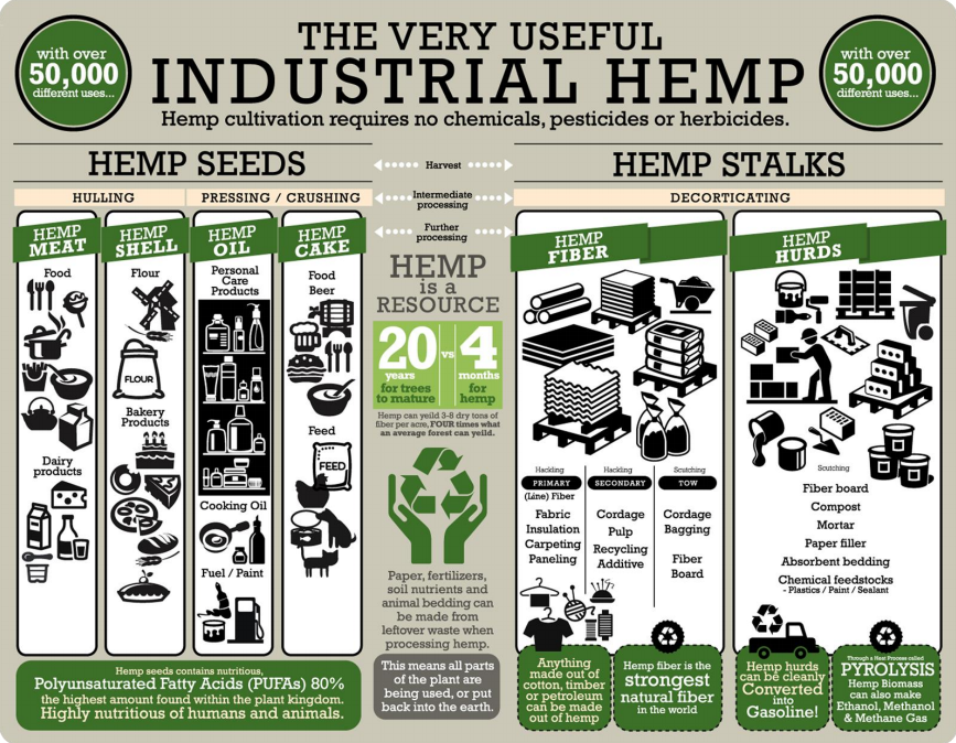CannaWorld (@cannaworldsite) on Twitter photo 