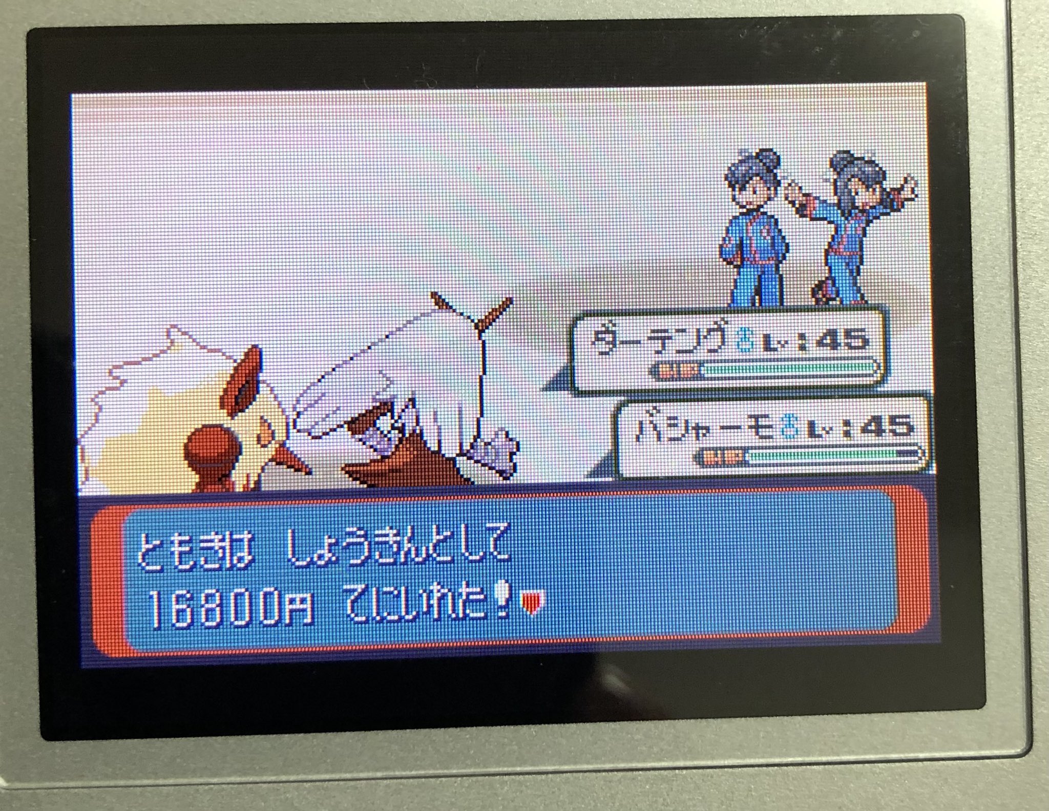 色違い日記 ポケモン趣味垢 小5の頃キノガッサしか使ってなくて 道中トレーナー避けてたら キノガッサ37lvでその他でlv代で積んだの思い出した これが今ではこんなに簡単に倒せるとは 色違いポケモン ルビーサファイア T Co